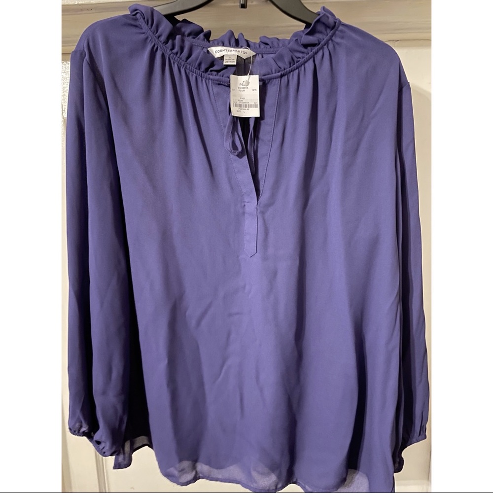 Purple Sheer Blouse